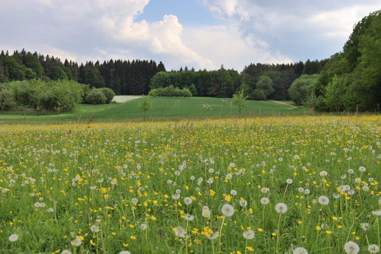 Heumanns Blockhaeuser Am Wald Ξενοδοχείο Pottenstein Εξωτερικό φωτογραφία